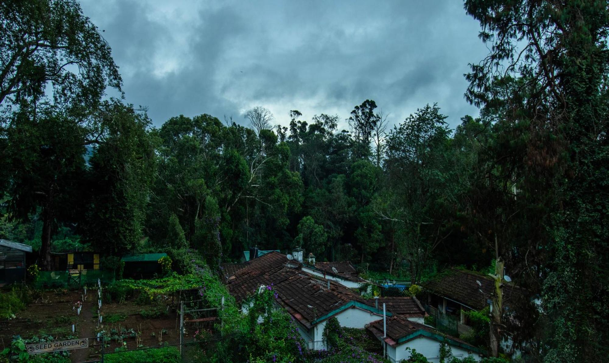 Treebo Kodai Kings Park, 650 M From Kodai Lake Кодайканал Екстериор снимка